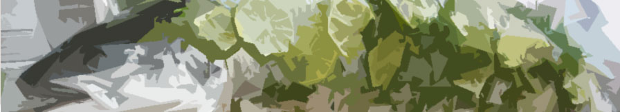 Receitas Gourmet header image 5